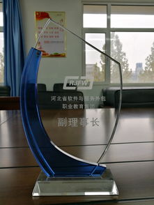 我院榮膺河北省軟件與服務(wù)外包職教集團(tuán)副理事長(zhǎng)單位 推動(dòng)軟件開發(fā)人才培養(yǎng)新篇章