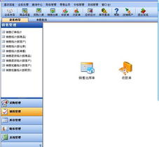 西安服務(wù)外包網(wǎng)與象過(guò)河軟件 進(jìn)銷存財(cái)務(wù)管理軟件的專業(yè)外包服務(wù)解析